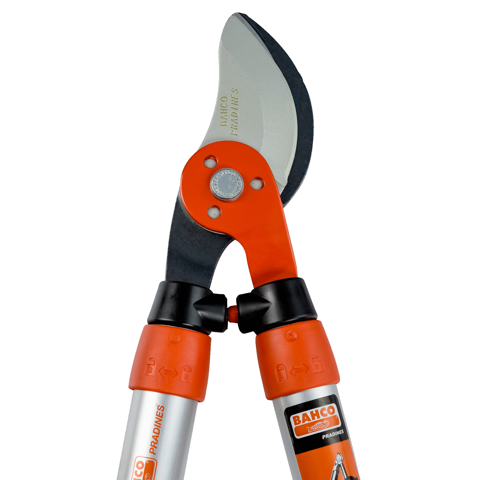 Herramientas de Poda Especializadas